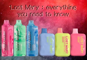 Discovering the Diverse Range of Lost Mary Vape Devices